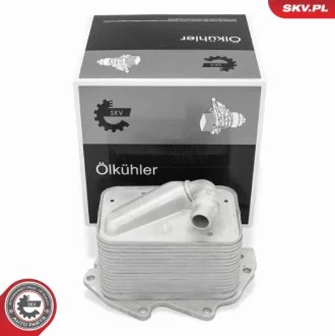  Корпус масляного фильтра 31SKV368 SKV