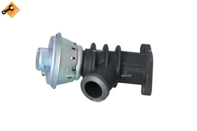 Клапан рециркуляции отработавших газов EGR 48387 NRF