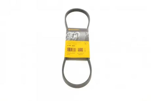 Поликлиновый ремень 4PK825 CONTINENTAL