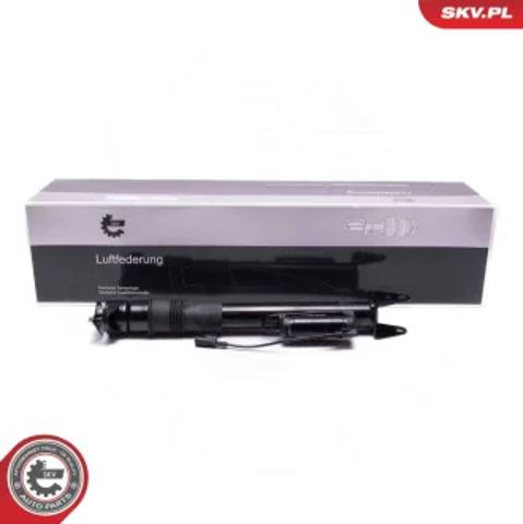 Задний амортизатор 58SKV724 SKV