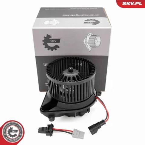 Электромотор печки 68SKV205 SKV