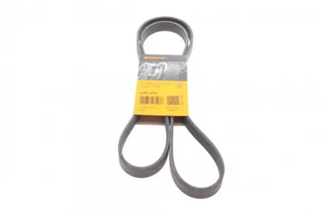 6PK1623 CONTINENTAL Ремень генератора купить в Тернополь