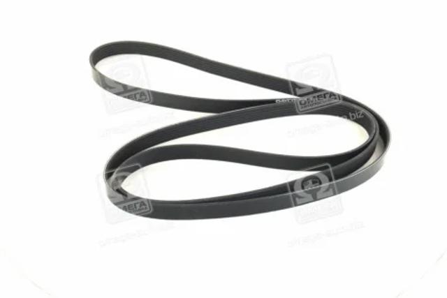 6PK2415 DAYCO Ремень генератора купить в Запорожье