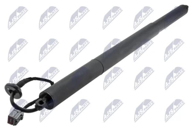 Амортизатор задней двери AECH066 NTY