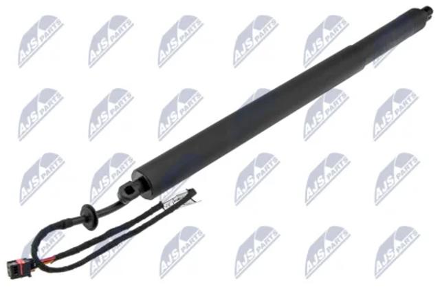 Амортизатор крышки багажника AELR020 NTY
