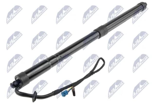 Амортизатор крышки багажника AEPS000 NTY