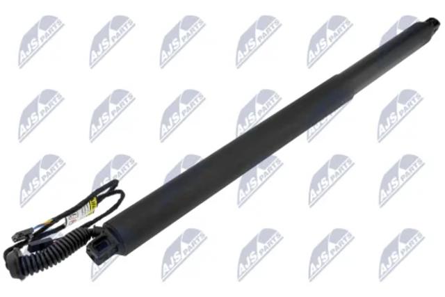 Амортизатор задней двери AESK028 NTY
