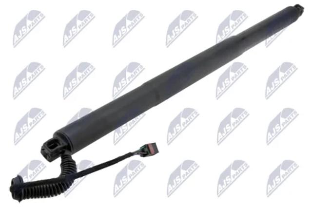 Амортизатор задней двери AESK036 NTY