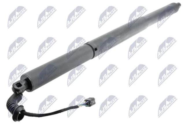 Амортизатор задней двери AESK037 NTY