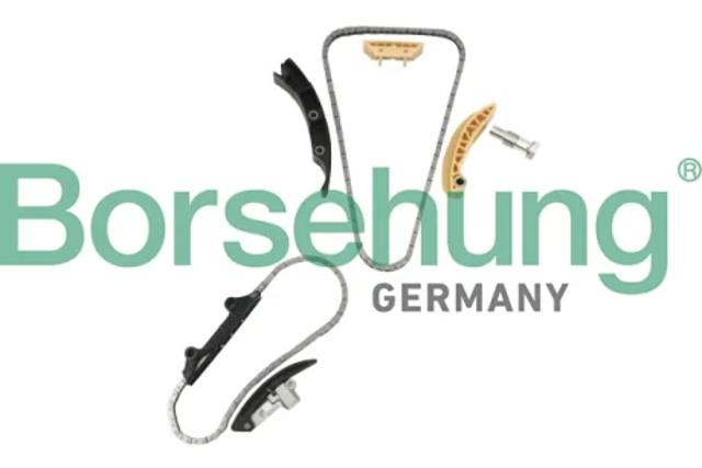 BORSEHUNG B10207 Комплект цепи ГРМ в наличии Каменское