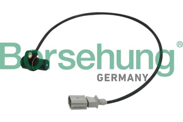 ДПКВ B13670 BORSEHUNG