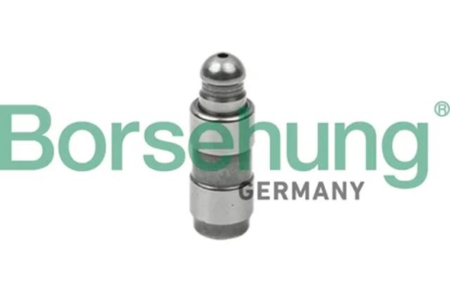 Компенсаторы B18825 BORSEHUNG