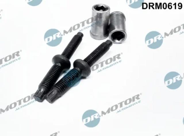 Болт крепления форсунки DRM0619 DR.MOTOR