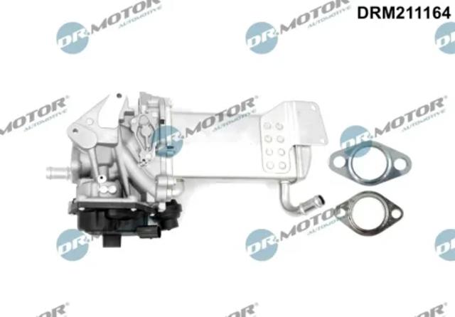 Клапан EGR, рециркуляции газов DRM211164 DR.MOTOR