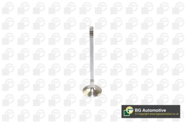Впускной клапан V166200 BGA