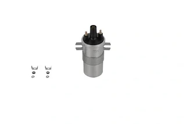 Катушка ZS564 BERU