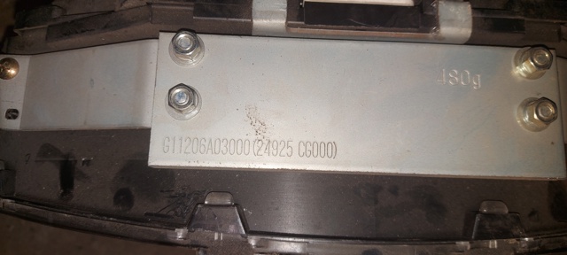 NISSAN 24925CG000 в наличии Каменское
