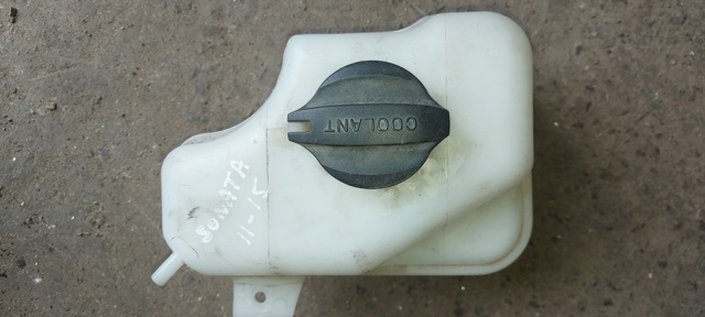 Бачок расширительный 254302T000 HYUNDAI