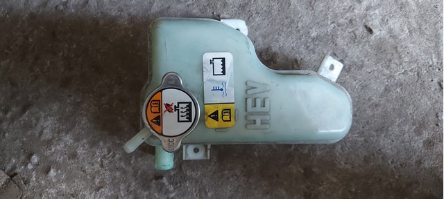 Расширительный бачок охлаждения 254304R000 HYUNDAI