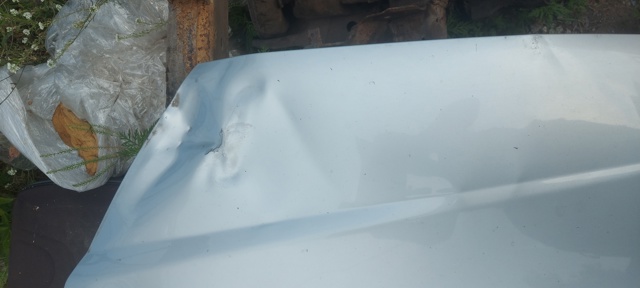 NISSAN 6510095F0C Капот в наличии Николаев