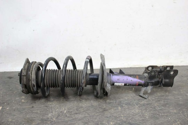 Амортизатор передней подвески левой Nissan Qashqai +2 1