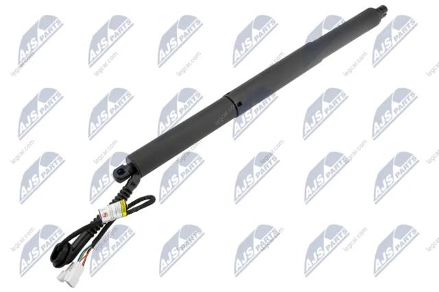 Амортизатор крышки багажника AEBM099 NTY