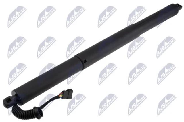 Амортизатор задней двери AEBM132 NTY