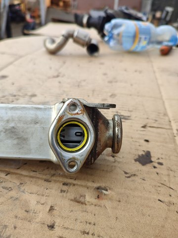 7794245 BMW Радиатор системы EGR рециркуляции выхлопных газов купить в Кривой Рог