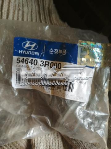 546403R000 Hyundai/Kia болт крепления заднего развального рычага