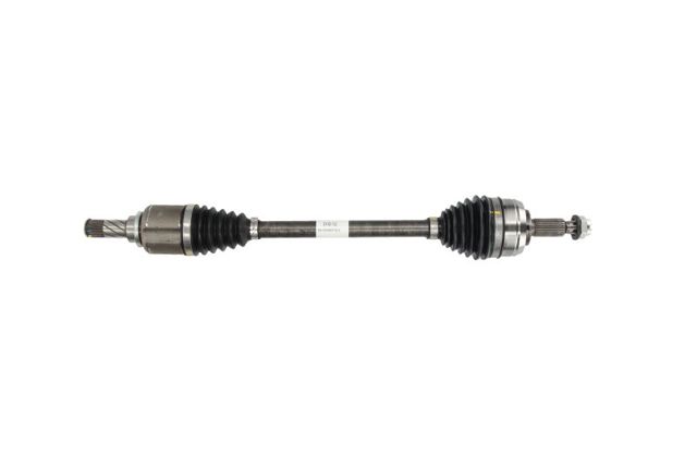 XX391019110R Market (OEM)