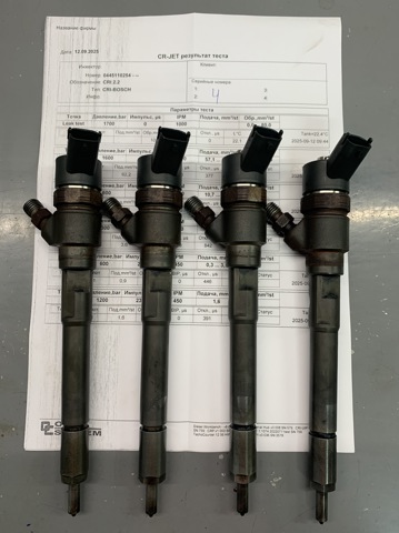 BOSCH 0445110254 Форсунка впрыска топлива в наличии Каменское