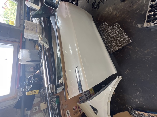 Пассажирская передняя дверь 1069536E0C TESLA