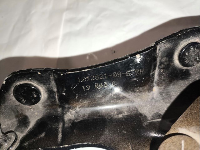 109282100E TESLA Петля задней двери купить в Житомир