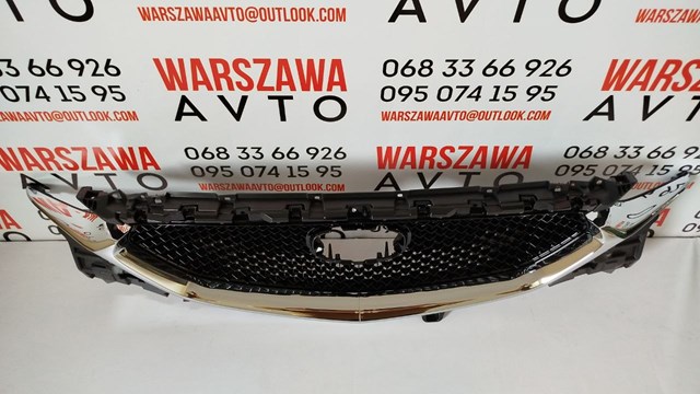 PMZ07129GA SIGNEDA Решетка радиатора купить в Николаев