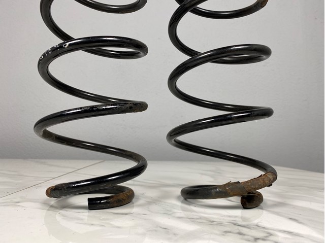 A1693241804 Пружина задняя купить Харьков