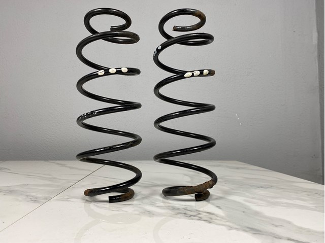 A1693241804 Пружина задняя купить Черновцы