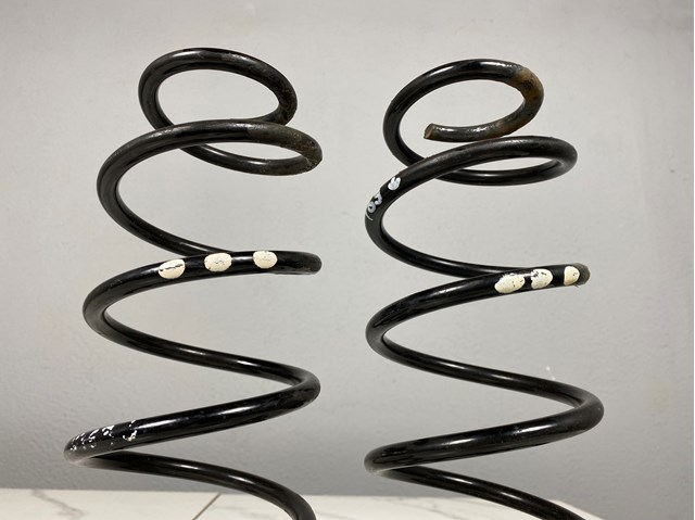 A1693241804 Пружина задняя купить Тернополь