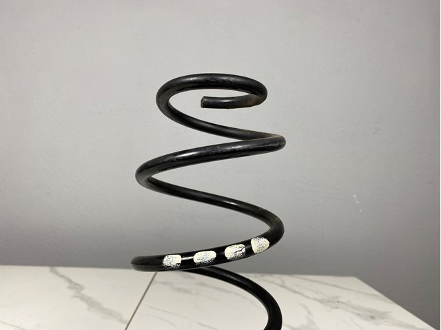 MERCEDES A1693241904 Задняя пружина в наличии Каменское