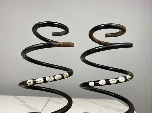 A1693243104 Задняя пружина купить Одесса