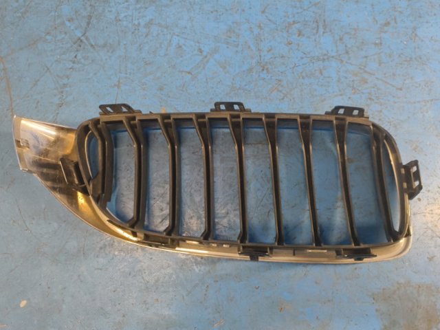 7294813 BMW Решетка радиатора купить в Тернополь