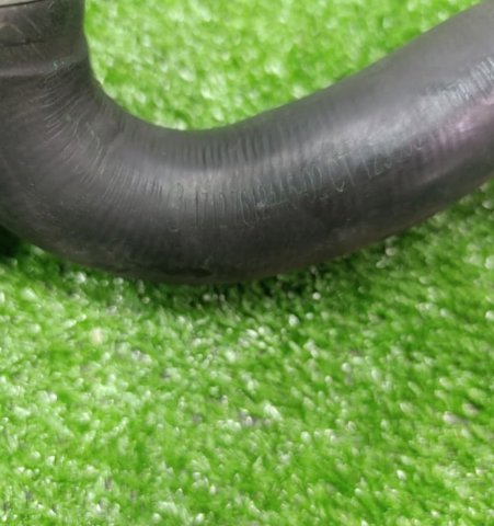 11531708278 купить Ужгород