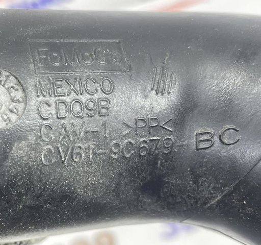 FORD CV619C679BC в наличии Ровно