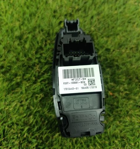 F2GT13D061BCW купить Житомир