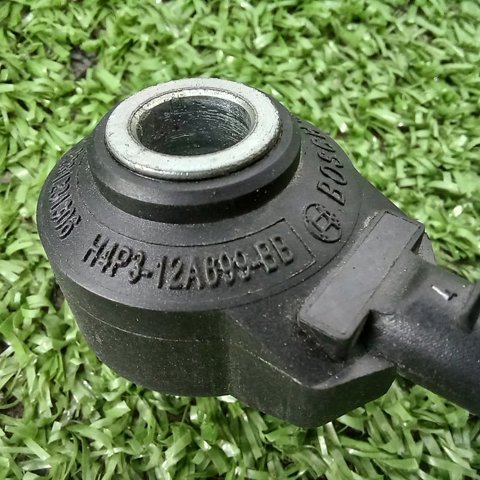 H4P312A699BC JAGUAR купить в Черновцы