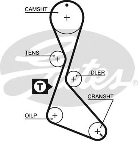 5370XS Ремень ГРМ купить Тернополь