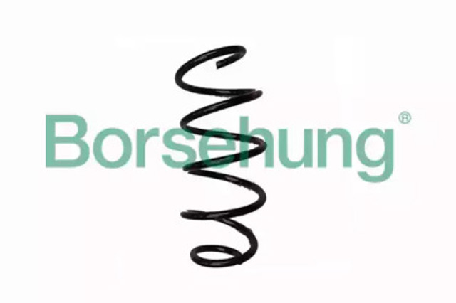 B12561 BORSEHUNG Пружина передняя купить в Тернополь