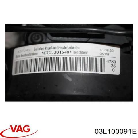 03L100091E VAG Двигатель купить в Одесса