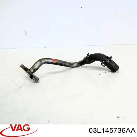 03L145736AA VAG Трубка (шланг) отвода масла от турбины купить в Сумы