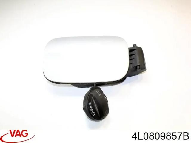 4L0809857B VAG Корпус заливной горловины топливного бака купить в Николаев