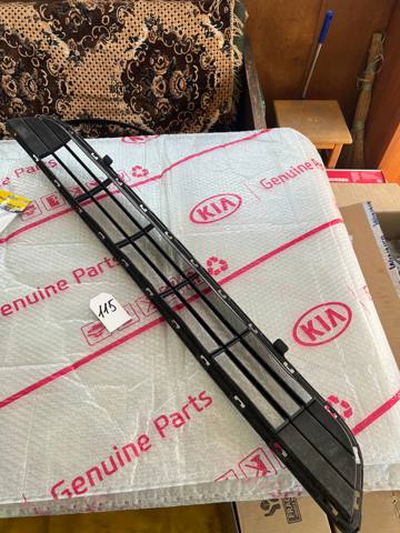 86569F1000 HYUNDAI Решетка бампера переднего нижняя купить в Тернополь